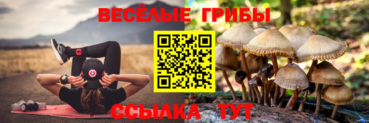 Галлюциногенные грибы ЛСД  Вход с VPN  Южно-Сахалинск 